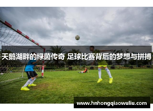 天鹅湖畔的绿茵传奇 足球比赛背后的梦想与拼搏