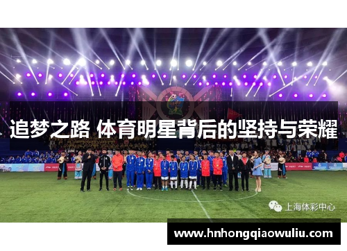 追梦之路 体育明星背后的坚持与荣耀
